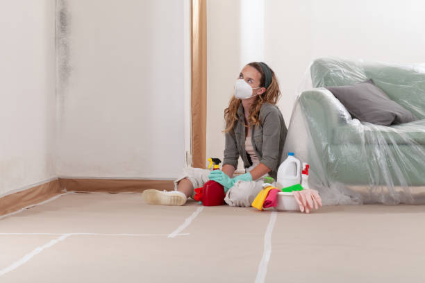 Reliable Commercial Mold Remediation contractor in Fairfield, NJ by WQB Mold Removal