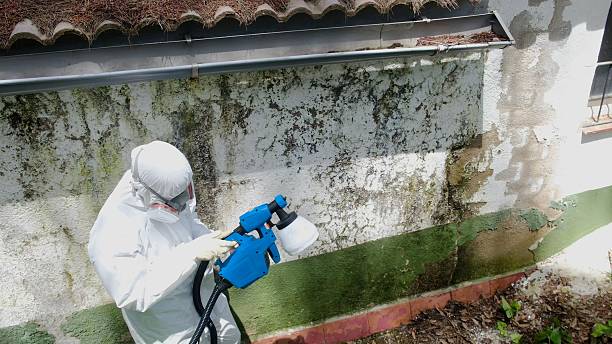 Top rated local Commercial Mold Remediation specialists in Fairfield, NJ